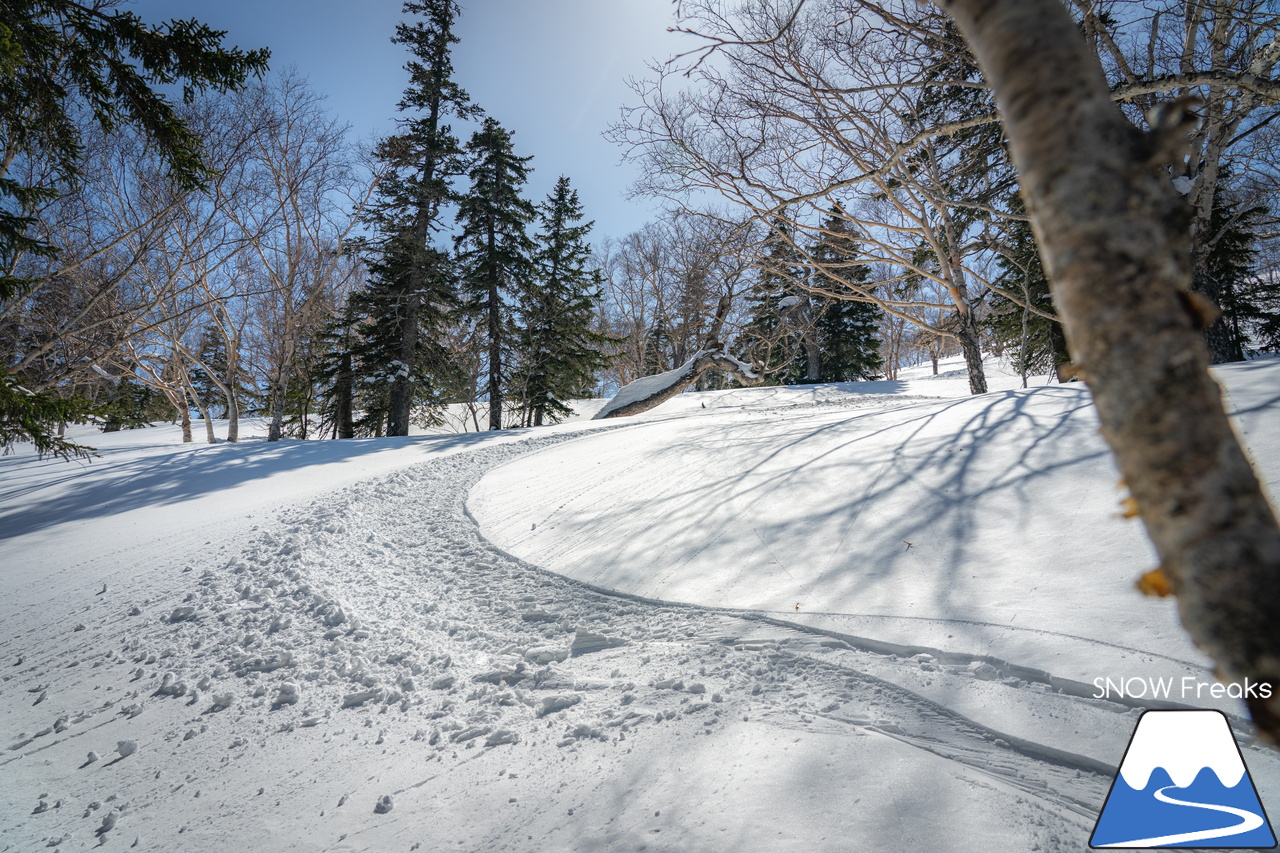 大雪山層雲峡・黒岳ロープウェイスキー場｜只今の積雪 360cm！『神々の遊ぶ庭』に降り積もる雪は、やはり別物でした(^^)v